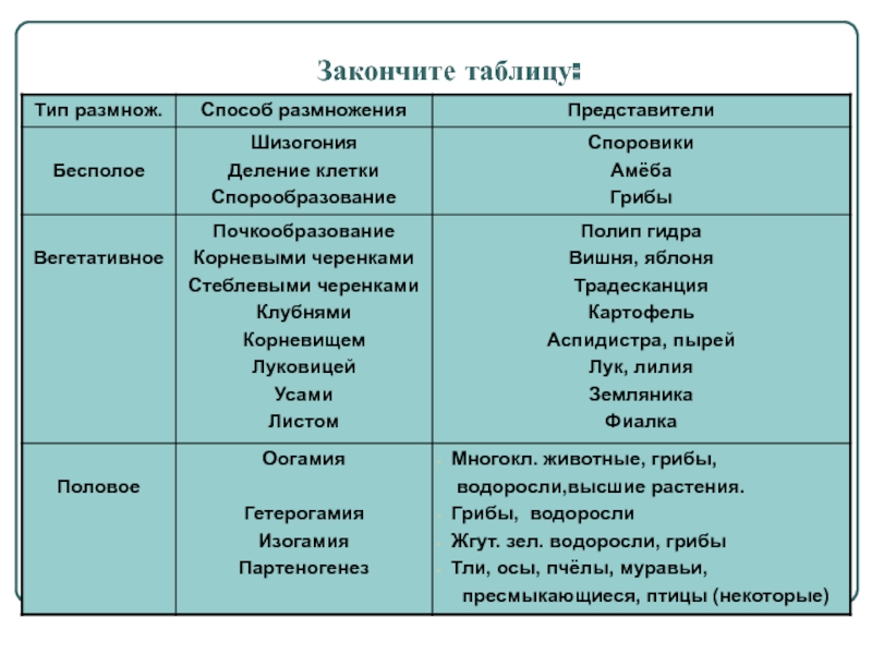 Официальная омг