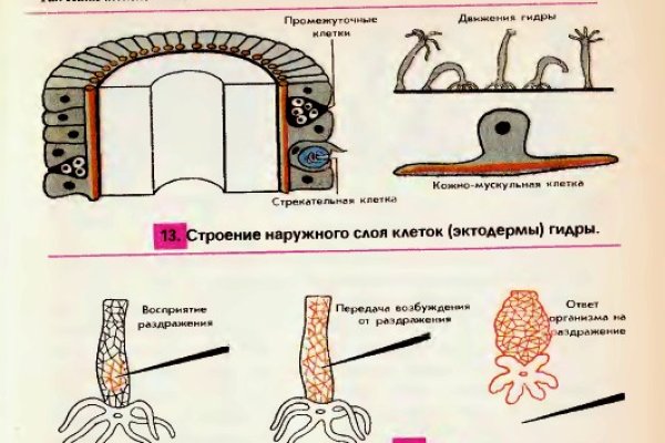 Ссылка на сайт омг омг тор браузер